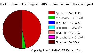September 1st, 2024 Market Share Pie Chart