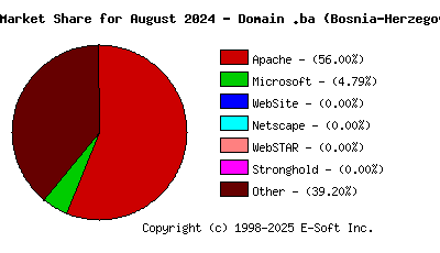 September 1st, 2024 Market Share Pie Chart