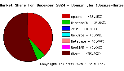 January 1st, 2025 Market Share Pie Chart