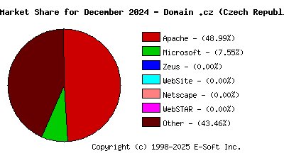 January 1st, 2025 Market Share Pie Chart