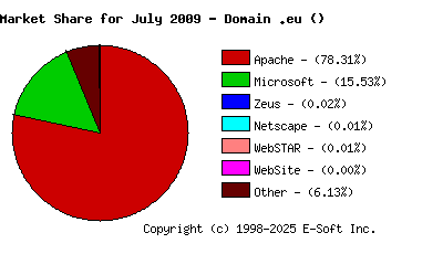 August 1st, 2009 Market Share Pie Chart