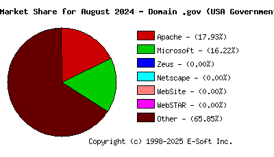 September 1st, 2024 Market Share Pie Chart