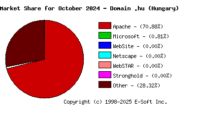 November 1st, 2024 Market Share Pie Chart