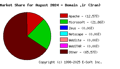 September 1st, 2024 Market Share Pie Chart