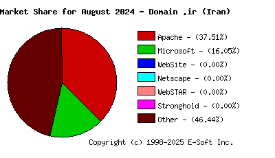 September 1st, 2024 Market Share Pie Chart