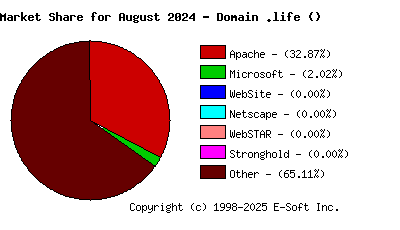September 1st, 2024 Market Share Pie Chart