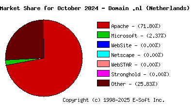November 1st, 2024 Market Share Pie Chart