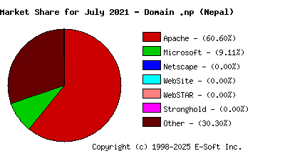 August 1st, 2021 Market Share Pie Chart