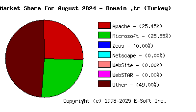 September 1st, 2024 Market Share Pie Chart