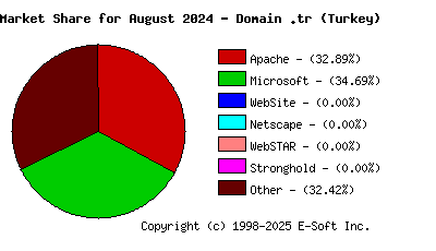September 1st, 2024 Market Share Pie Chart
