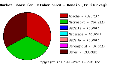 November 1st, 2024 Market Share Pie Chart