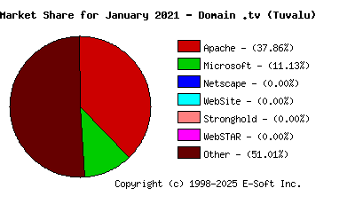 February 1st, 2021 Market Share Pie Chart
