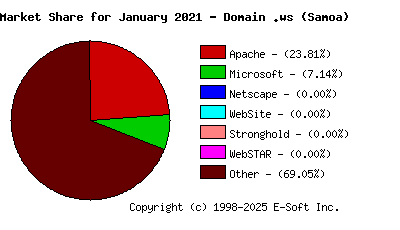 February 1st, 2021 Market Share Pie Chart