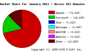 February 1st, 2011 Market Share Pie Chart