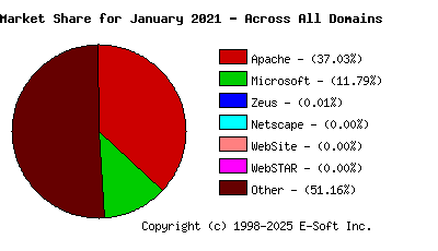 February 1st, 2021 Market Share Pie Chart