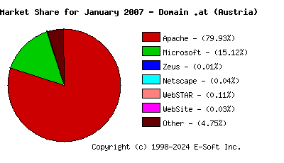 February 1st, 2007 Market Share Pie Chart