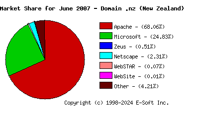 July 1st, 2007 Market Share Pie Chart