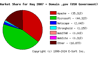 June 1st, 2007 Market Share Pie Chart